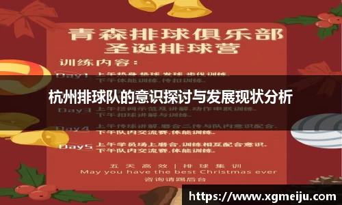 杭州排球队的意识探讨与发展现状分析
